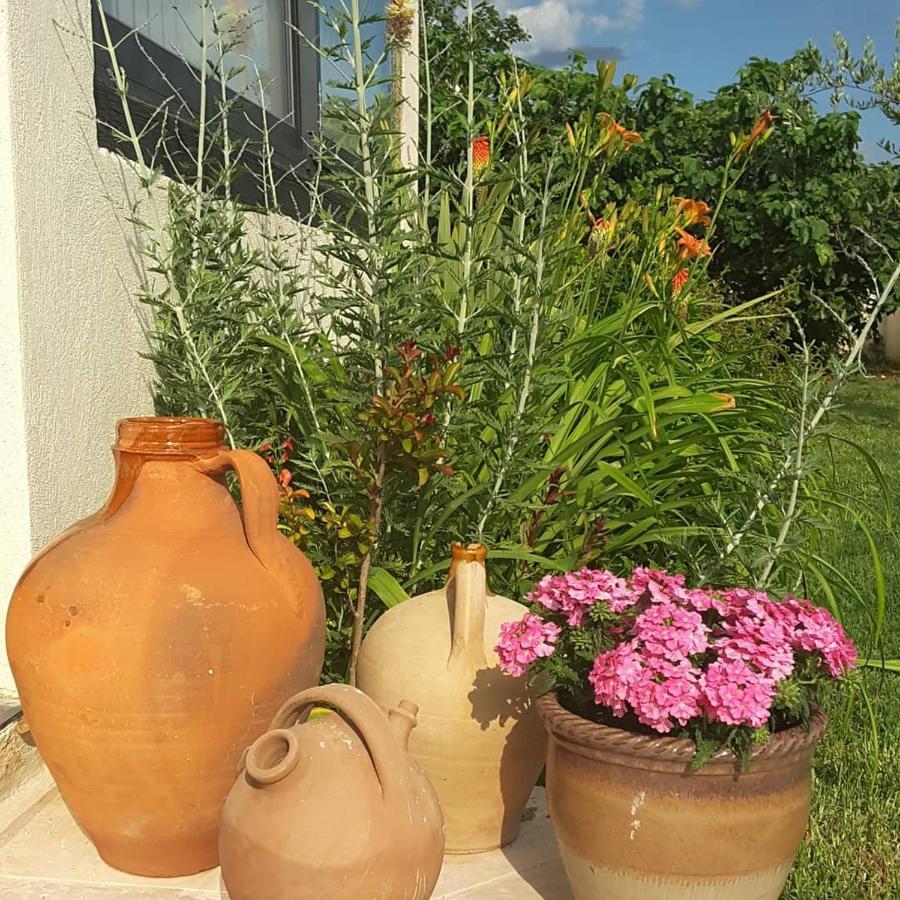 Philoxenia Bed & Breakfast Pourrieres Exterior foto