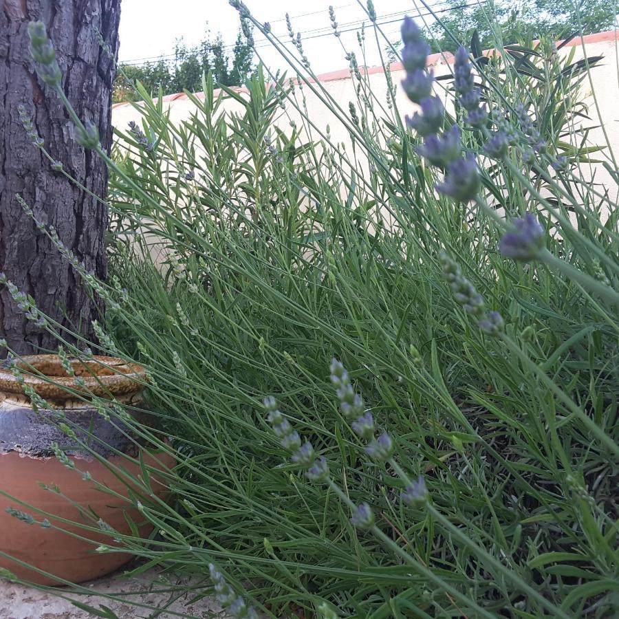 Philoxenia Bed & Breakfast Pourrieres Exterior foto